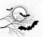 Bats and the moon