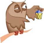 Owl with a lantern